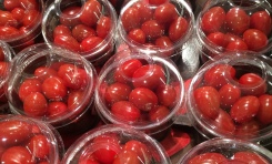 RECICLABLES, COMPOSTABLES Y REUTILIZABLES