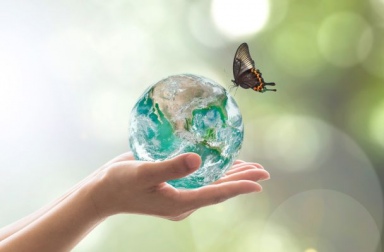 DIA MUNDIAL DEL MEDIO AMBIENTE