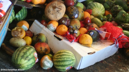 Desperdicio y pérdida de alimentos: el punto débil en la lucha contra el hambre
