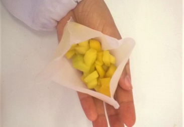 BRASIL CREA ENVASES BIODEGRADABLES PARA EXPORTAR MANGOS