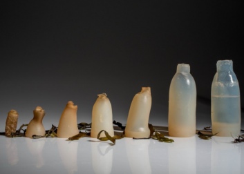 Botella de agua eco-friendly 