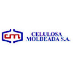 Celulosa Moldeada