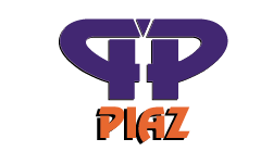 Piaz Conveyor PZ Industrial